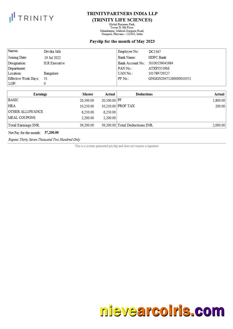 Trinitypartners India real estate payslip